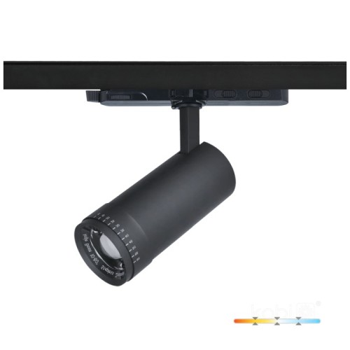 Przejdź do produktu Reflektor Nextrack Vision 30 W 10-60°